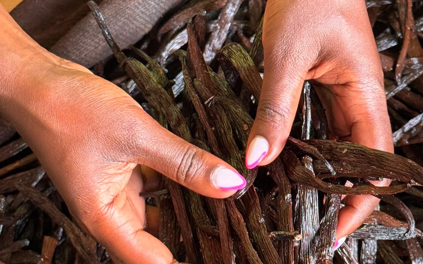 Vanilla pods laid out ready for packing